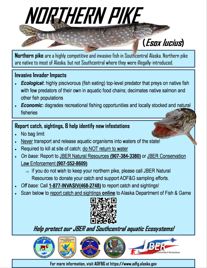 Northern pike flier thumbnail.